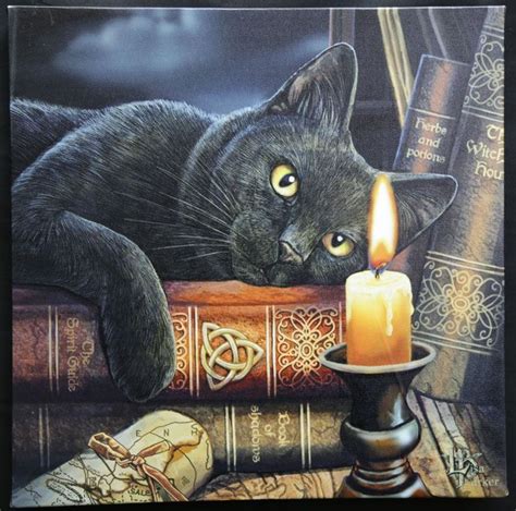 Witching cat book